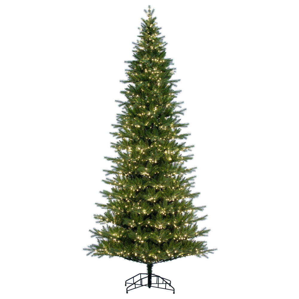 Vickerman 10' x 56" Balsam Spruce Slim Tree 2100 Warm White Low Voltage 3MM LED Lights.