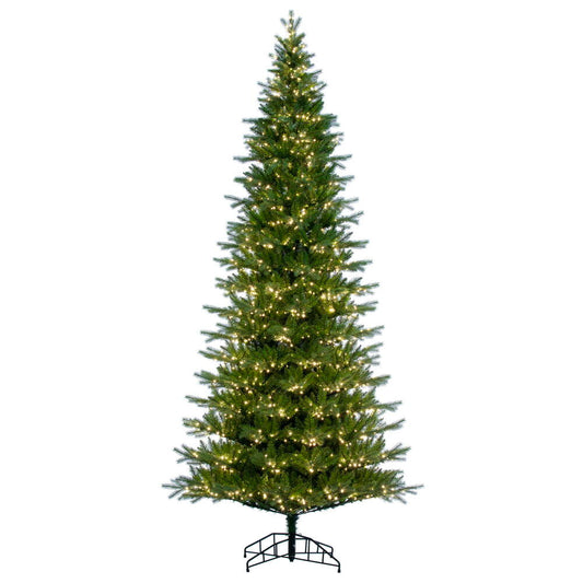 Vickerman 10' x 56" Balsam Spruce Slim Tree 2100 Warm White Low Voltage 3MM LED Lights.