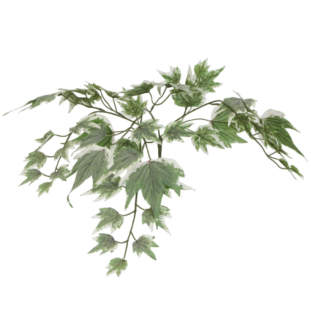 Vickerman 4' Artificial Silver Maple Extra Full Bush Black Plastic Pot.