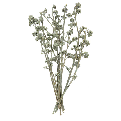 Vickerman Natural Botanicals 13" x 1-3" Red Gum Branch Green Frosted 14 stems per unit