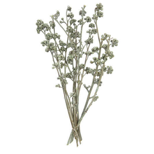 Vickerman Natural Botanicals 13" x 1-3" Red Gum Branch Green Frosted 14 stems per unit