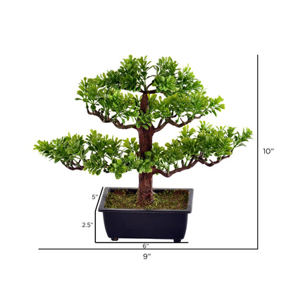 Vickerman 10" Artificial Potted Murraya Bonsai Tree.