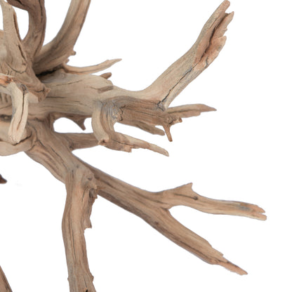 Vickerman 12" Starwood Manzanita Tree Branch