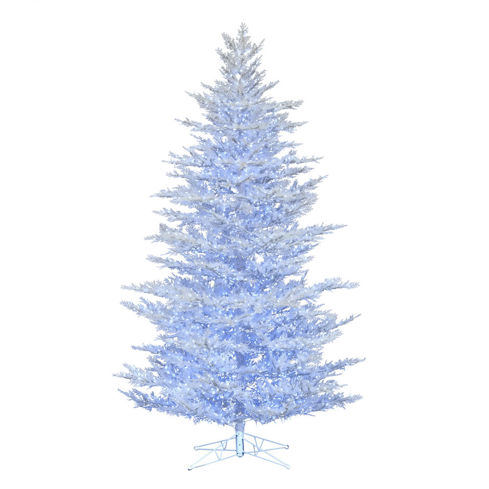 Vickerman 14' x 74" Flocked Cedar Pine Artificial Christmas Tree Low Voltage LED Pure White Wide Angle 3mm Lights
