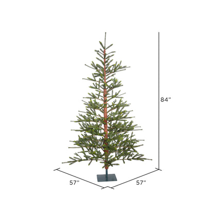 Vickerman 7' Bed Rock Pine Artificial Christmas Tree Unlit