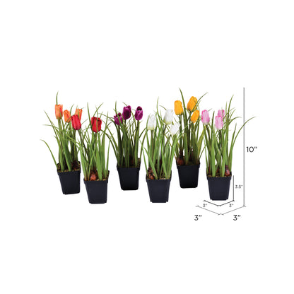 Vickerman 10" Artificial Tulips in Black Plastic Planters Pots Set of 6.