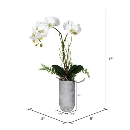 Vickerman 17" Artificial White Butterfly Orchid.