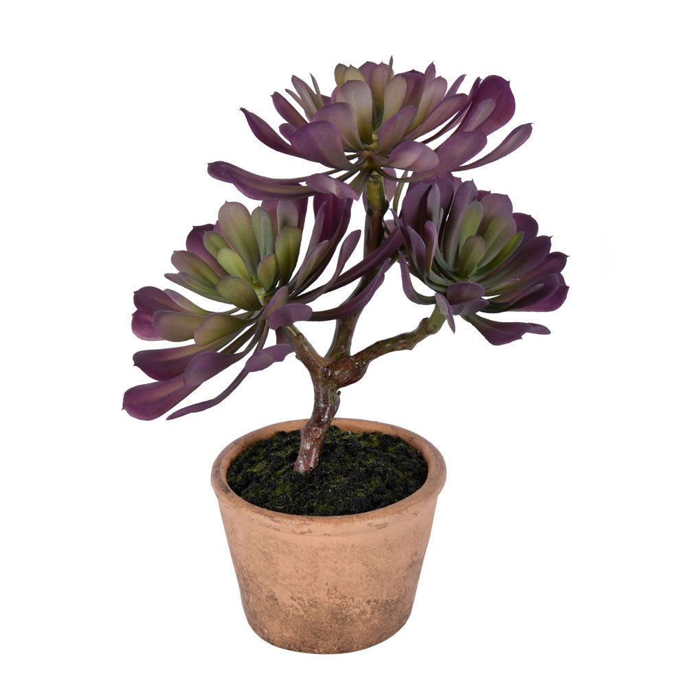 Vickerman 12" Artificial Purple and Green Succulent Paper Pot.