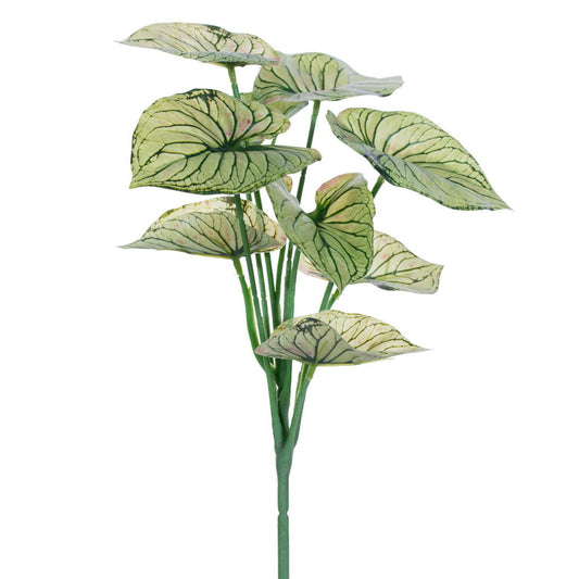 Vickerman 12.5" Artificial Light Green Variegated Leaves Spray. Includes three pieces per bag.