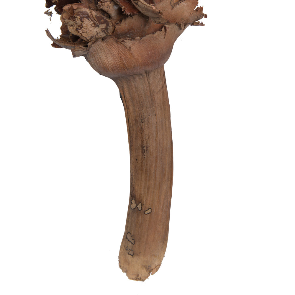 Vickerman Natural Botanicals 8"-10" Palm Female. Includes 10 pieces per Pack.