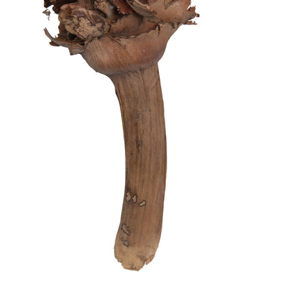 Vickerman Natural Botanicals 8"-10" Palm Female. Includes 10 pieces per Pack.