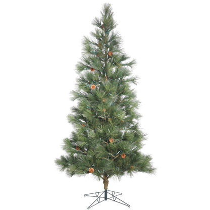 Vickerman 12' Redmond Spruce Artificial Christmas Tree Unlit