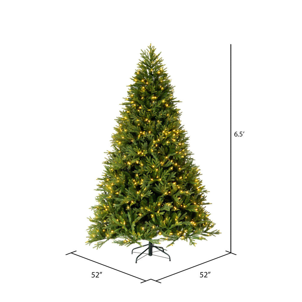 Vickerman 6.5' x 52" Tiffany Fraser Fir Artificial Christmas Tree Dura-Lit® Clear Incandescent Mini Lights
