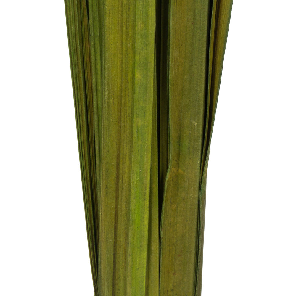 Vickerman 36-40" Foliage Green Sable Grass 7 oz Bundle Dried
