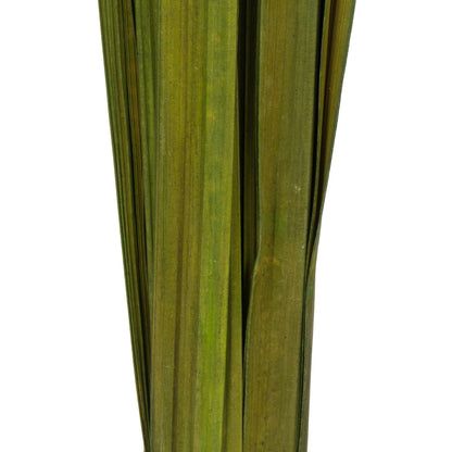 Vickerman 36-40" Foliage Green Sable Grass 7 oz Bundle Dried