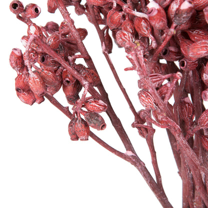 Vickerman Natural Botanicals 12" x 1-3" Eucalyptus Clusters on stem red frosted 16 stems per unit
