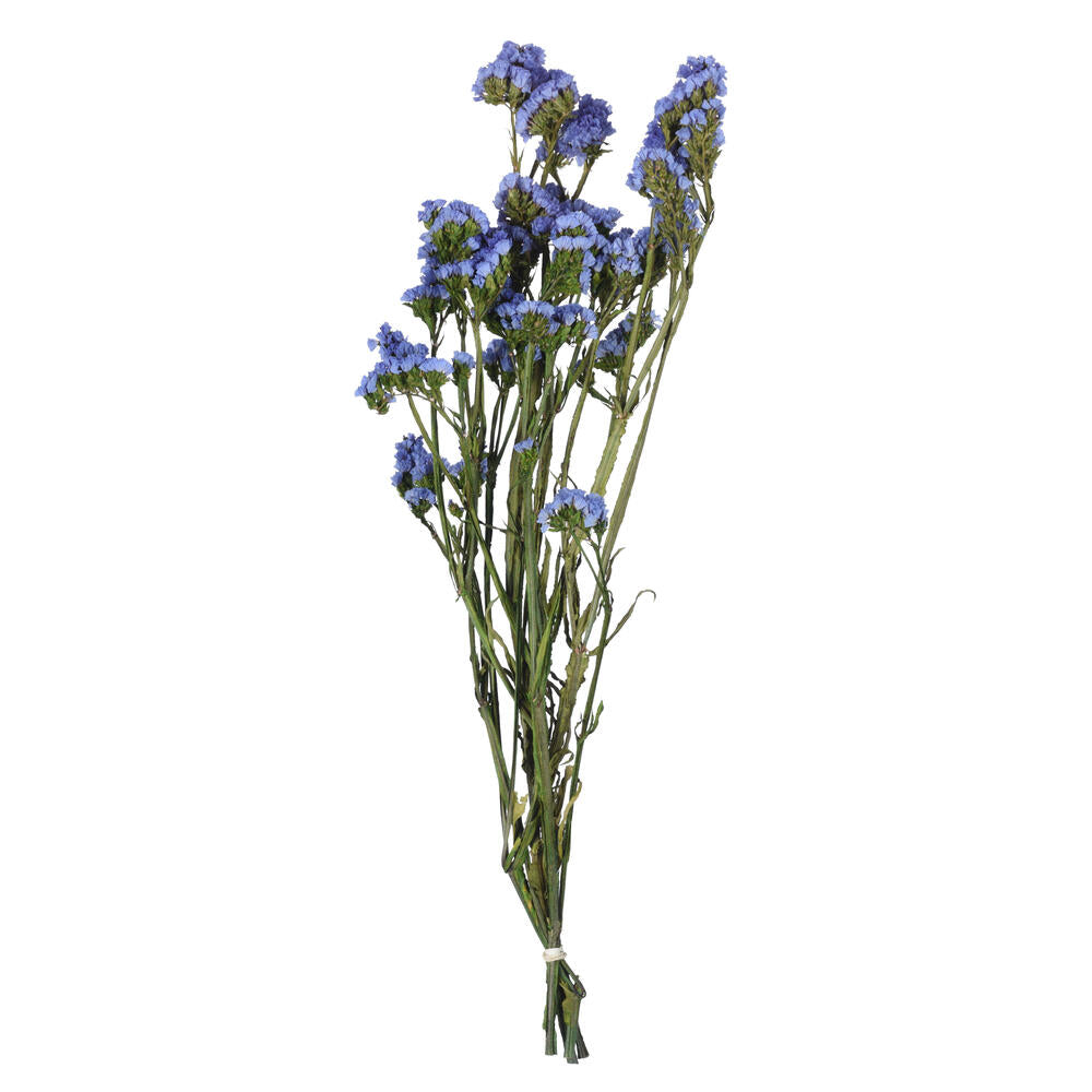 Vickerman Natural Botanicals 19.5" Light Blue Statice Flower 1.25 oz per unit