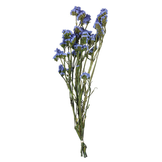 Vickerman Natural Botanicals 19.5" Light Blue Statice Flower 1.25 oz per unit