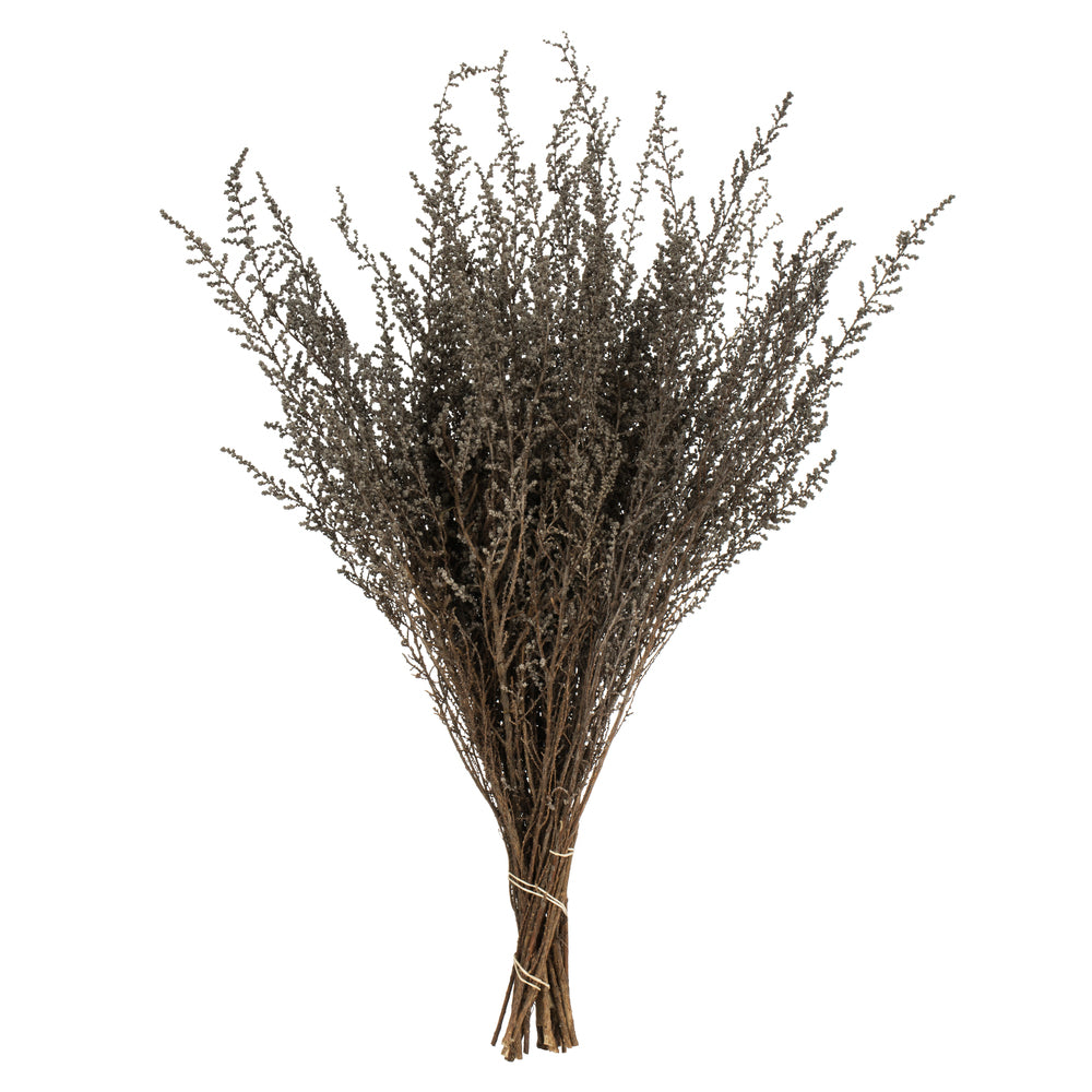 Vickerman 14-18" Silver White Stoebe Bundle