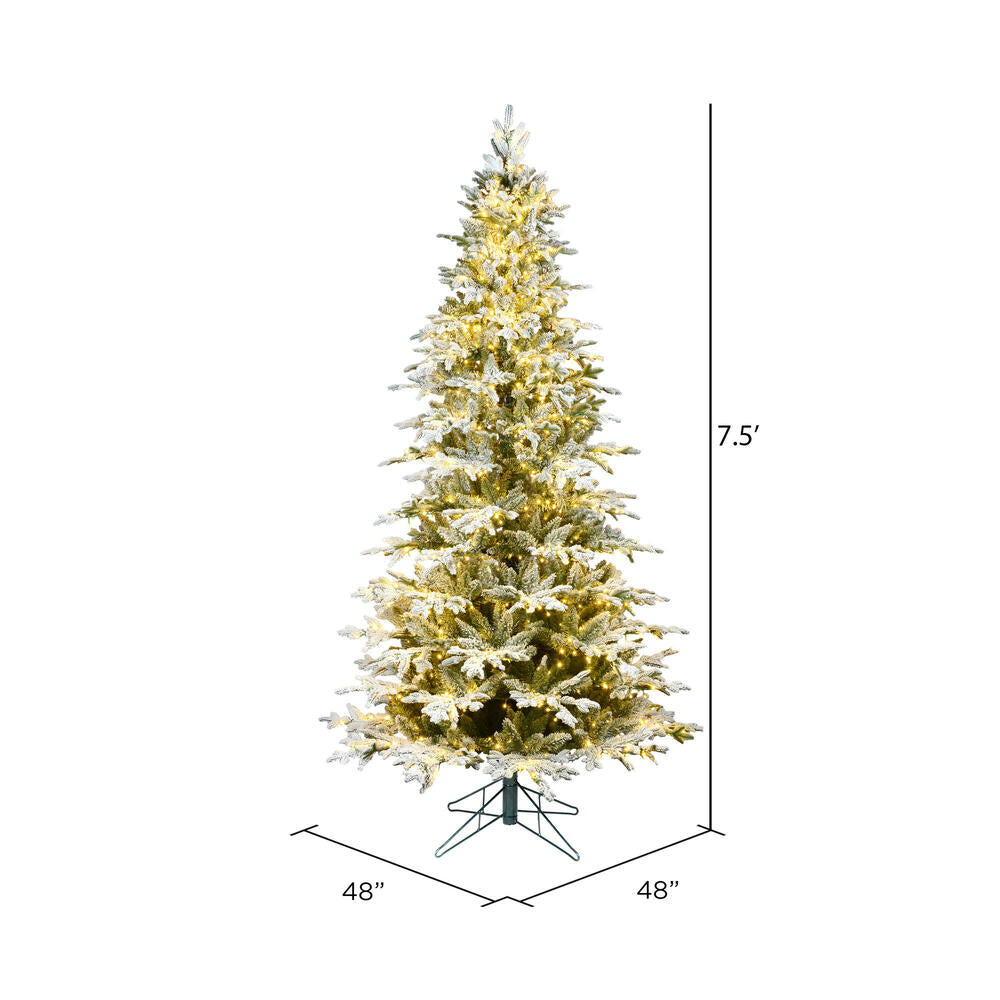 Vickerman 7.5' x 48" Flocked Kamas Fraser Tree Warm White Low Voltage 3MM LED Lights.