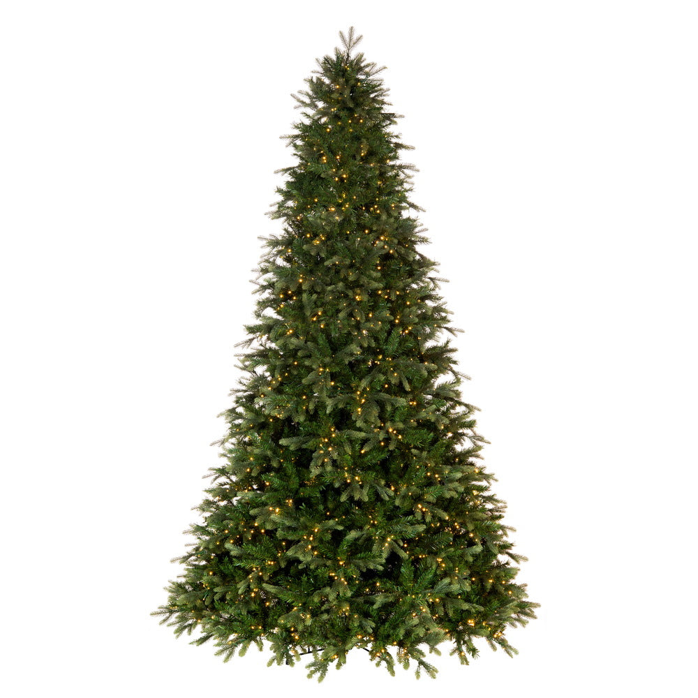 Vickerman 14' x 106" Douglas Fir Artificial Pre-Lit Christmas Tree Warm White LED Mini Lights.