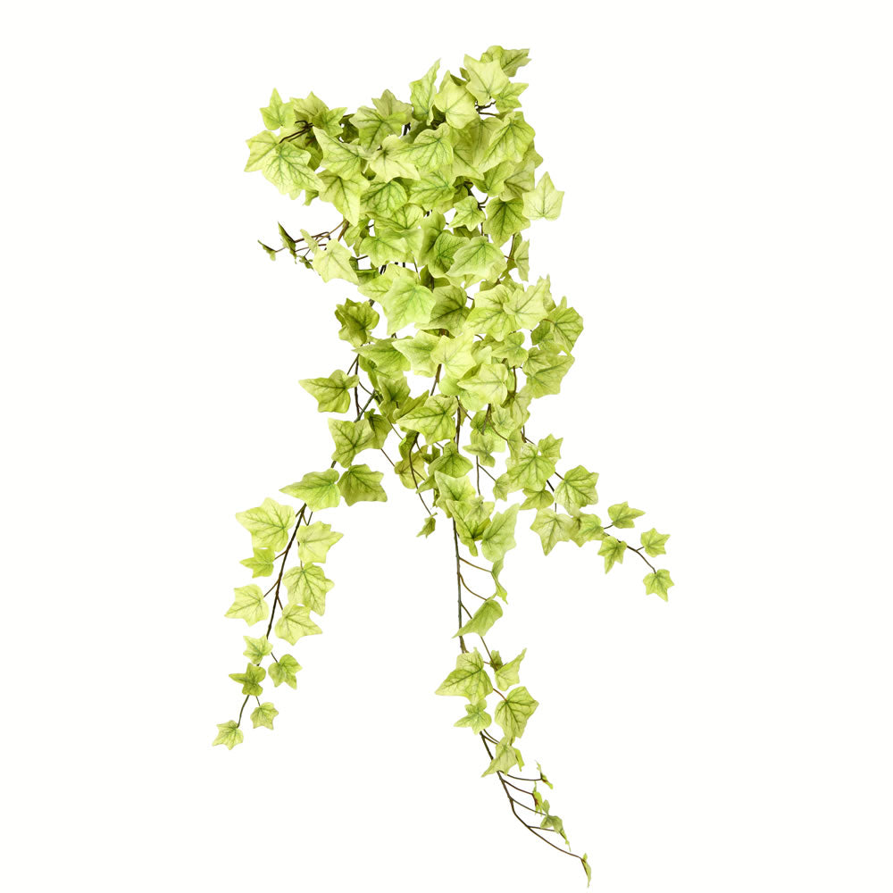 Vickerman 34" Artificial Light Green Ivy Hanging Bush.