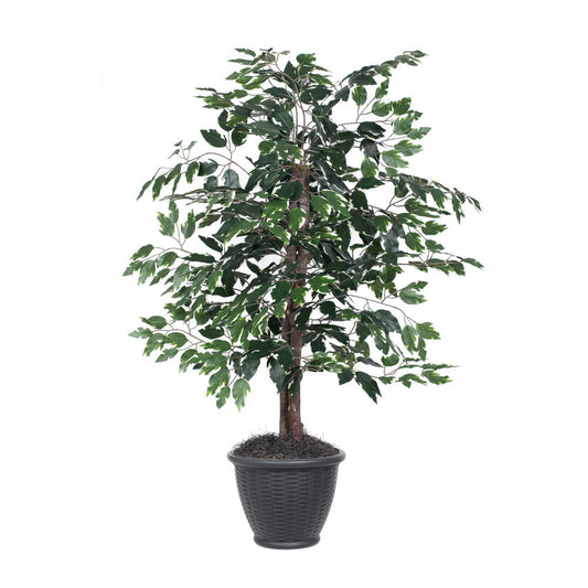 Vickerman 4' Artificial Variegated Ficus Bush Gray Round Plastic Container.