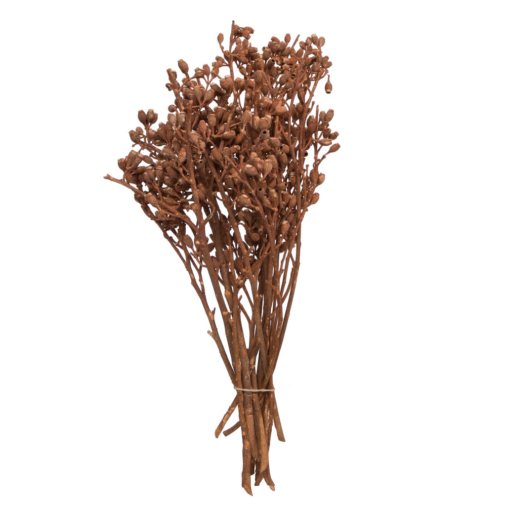 Vickerman Natural Botanicals 12" x 1-3" Eucalyptus Clusters on stem orange frosted 16 stems per unit.