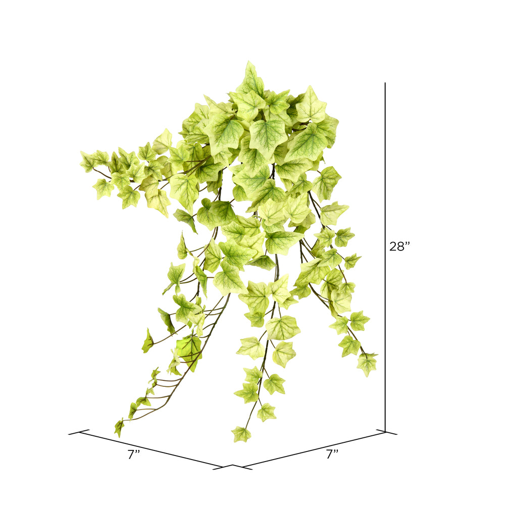 Vickerman 28" Artificial Light Green Ivy Hanging Bush Pack of 2