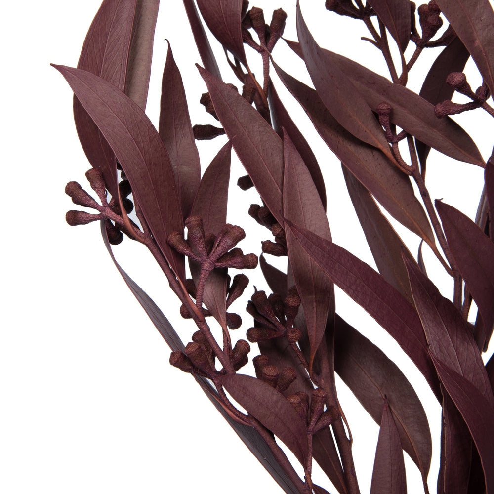 Vickerman Natural Botanicals 15-17" x 8" Natural Amber Fruit  Foliage - Brombeer