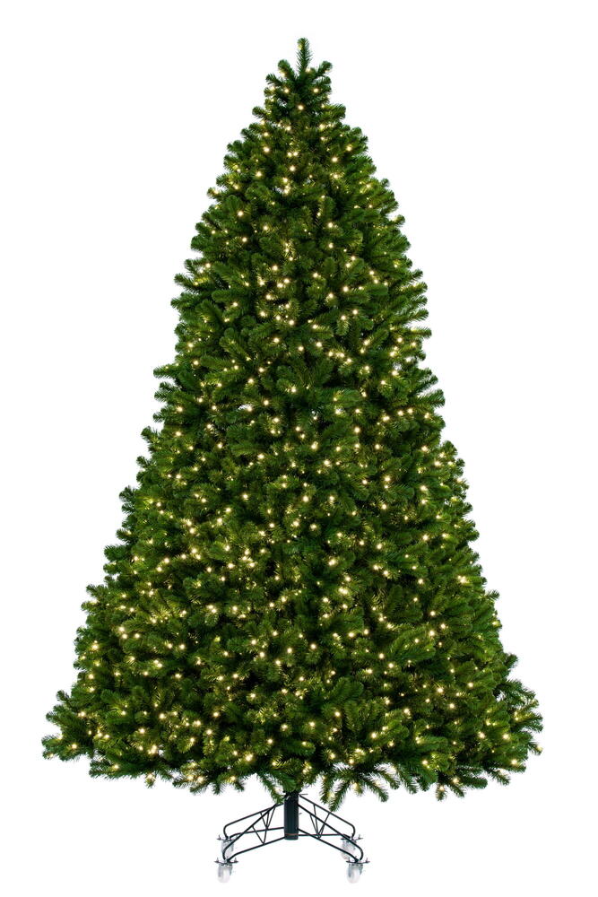 Vickerman 15' x 92" Deluxe Sequoia Pine Artificial Full Pre-Lit Christmas Tree with 3600 Warm White LED 5MM Lights. It measures 180 inches tall and 92 inches wide, which is considered a Full profile. This tree boasts 7830 PVC tips for a realistic look. Pr