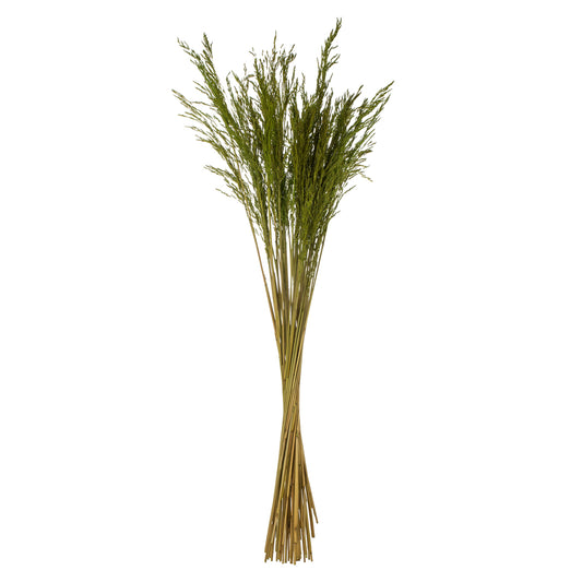 Vickerman 36" Green Congo Grass 8 oz Bundle Dried