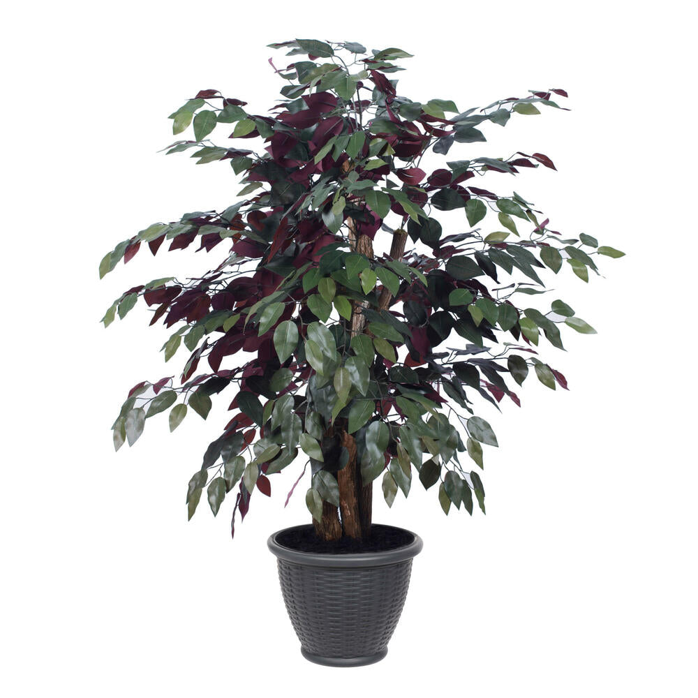 Vickerman 4' Artificial Capensia Extra Full Bush Gray Round Plastic Container.