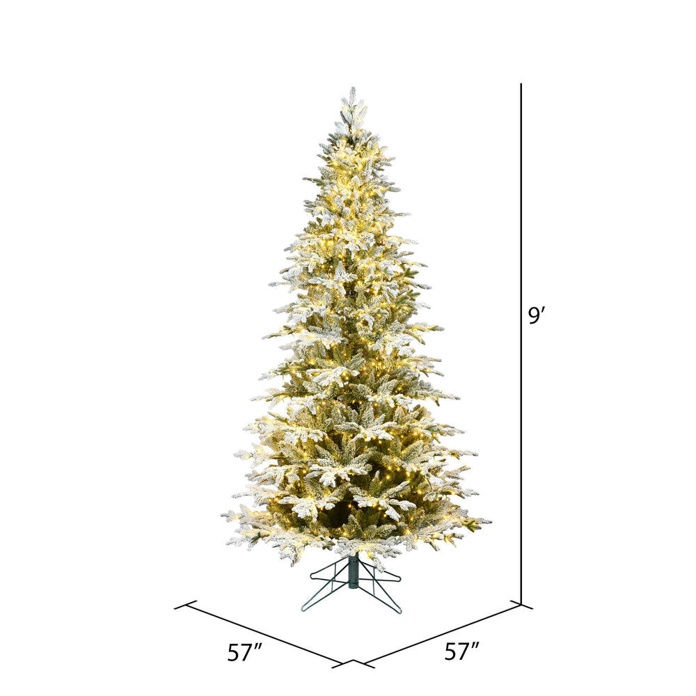 Vickerman 9' x 57" Flocked Kamas Fraser Tree Warm White Low Voltage 3MM LED Lights.