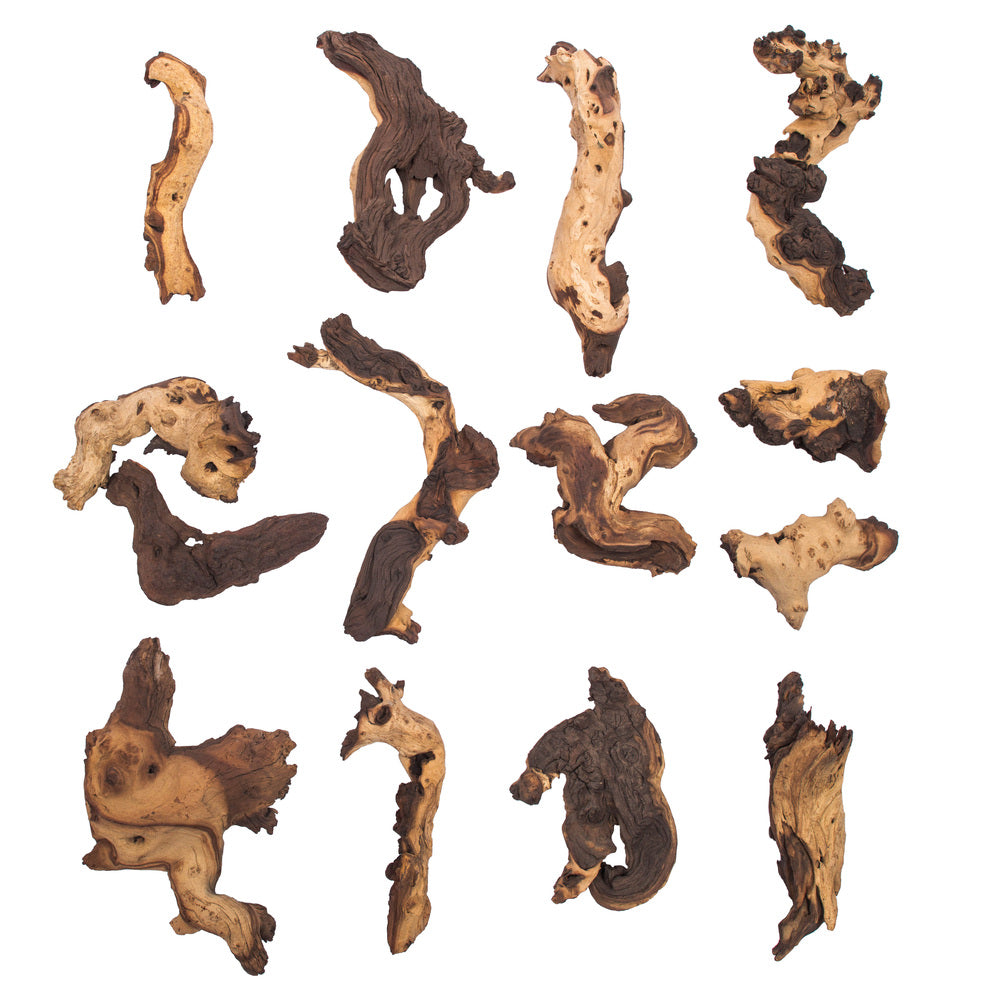 Vickerman 6-12" Natural Driftwood (Petrified)- Bulk Approximately 30 Pieces per Case Dried