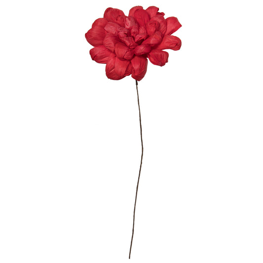 Vickerman Natural Botanicals 6" Red Maize Dahlia. 6 stem/bag. Dried and preserved.