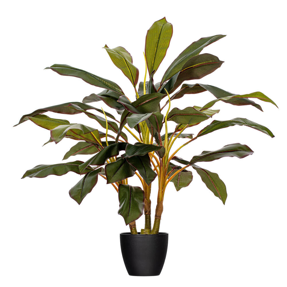 Vickerman 30" Artificial Real Touch Dracaena.