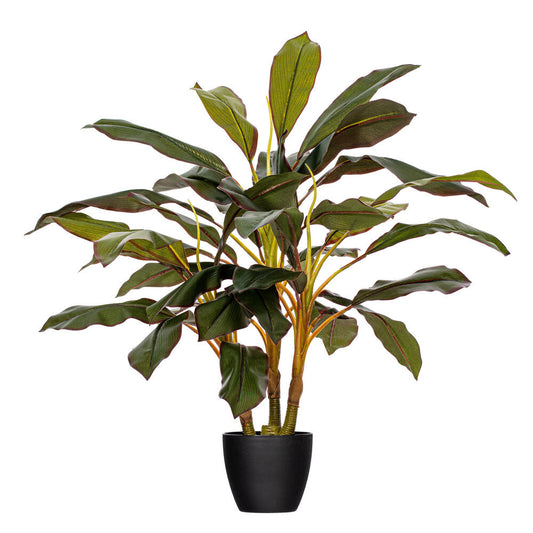 Vickerman 30" Artificial Real Touch Dracaena.