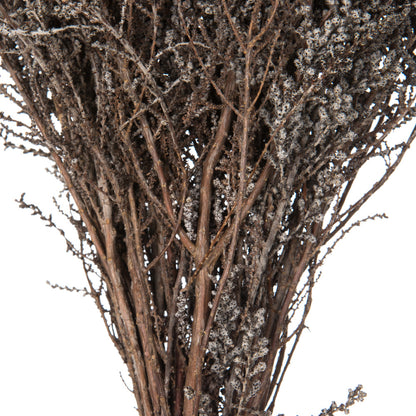Vickerman 14-18" Silver White Stoebe Bundle