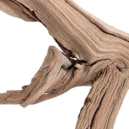Vickerman Ghostwood Manzanita Sand Blasted 24" Dried
