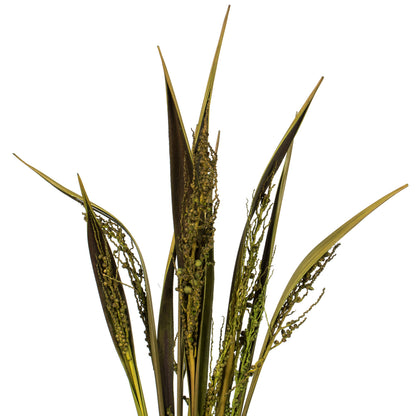 Vickerman 36" Basil Bahia Spears Seeded 9 stems Dried
