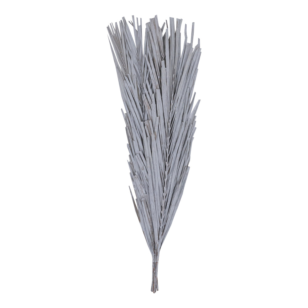 Vickerman Natural Botanicals 25" White Washed Canna Leaf 10 Pieces per Bunch.