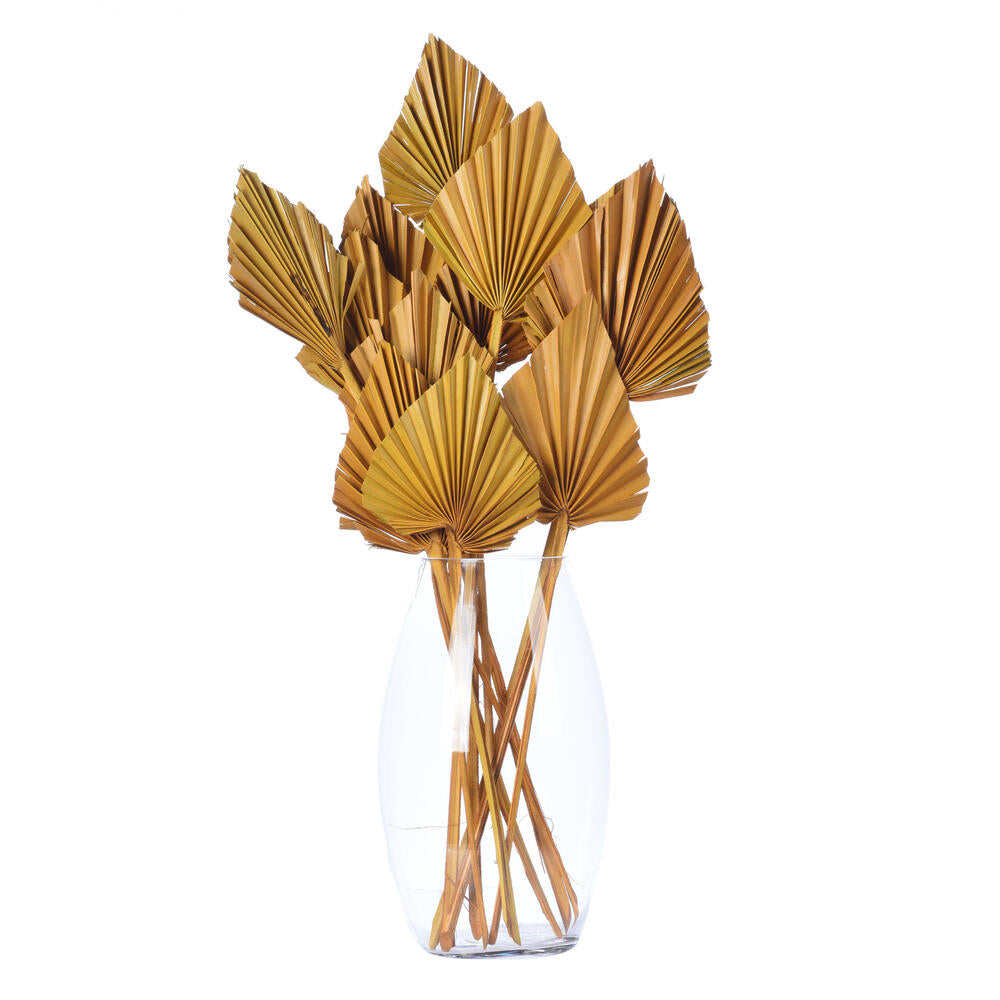 Vickerman Natural Botanicals 15.75 - 19.5" Aspen Gold Dried Palm Spear 12 per bag.