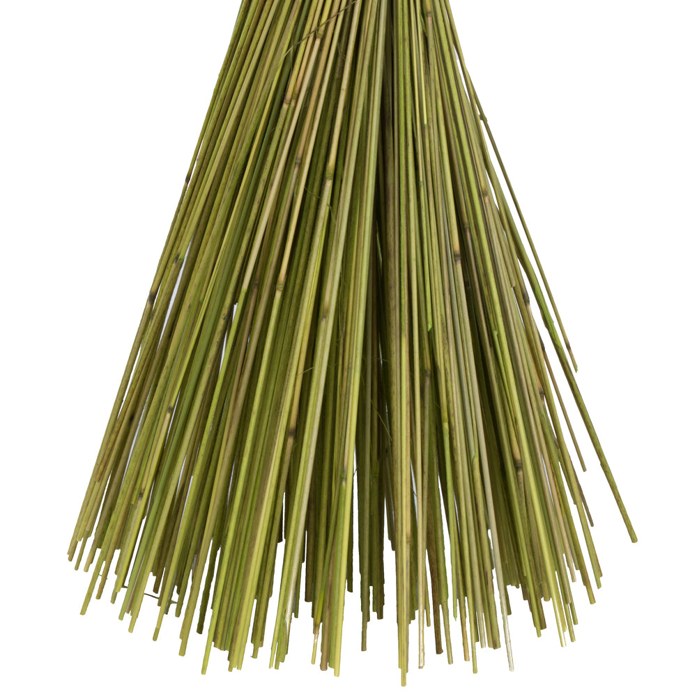 Vickerman 30" Basil Princess Grass. Comes in 21oz (3 -7oz Bundles) Dried