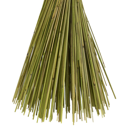 Vickerman 30" Basil Princess Grass. Comes in 21oz (3 -7oz Bundles) Dried