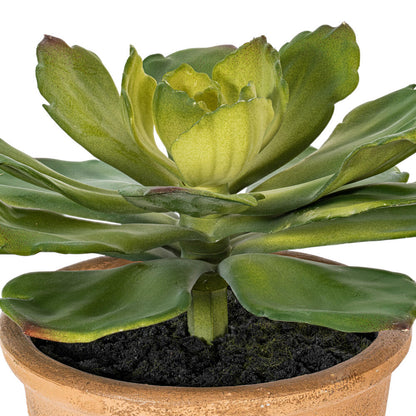 Vickerman 9" Artificial Succulent Paper Pot.