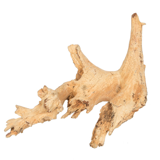 Vickerman 9-12" Bleached Roots - Amazonian Small 1 piece Dried