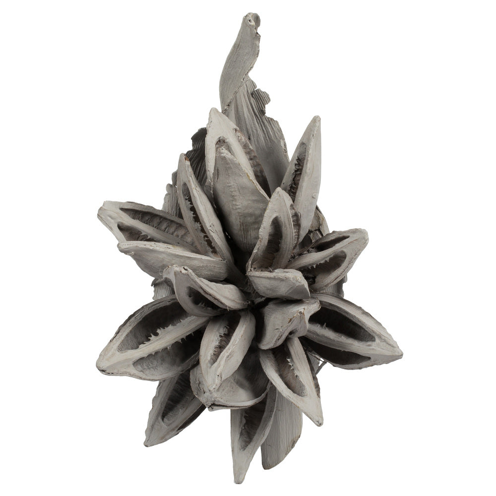 Vickerman 6" Gray Wash Star Pod 1 piece Dried