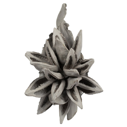 Vickerman 6" Gray Wash Star Pod 1 piece Dried