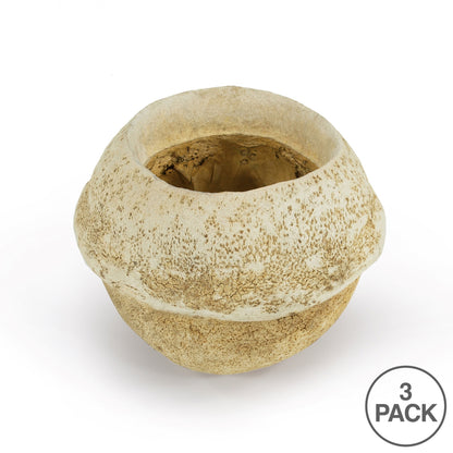 Vickerman 5" Bleached Sapa Pod 3 pack Dried